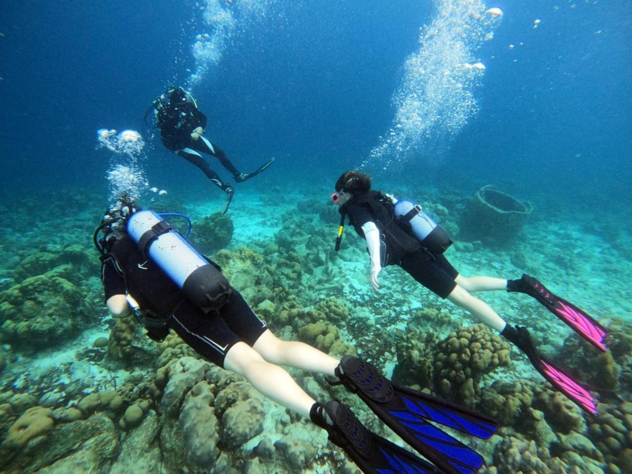 Tropical Divers Resort 克拉伦代克 外观 照片